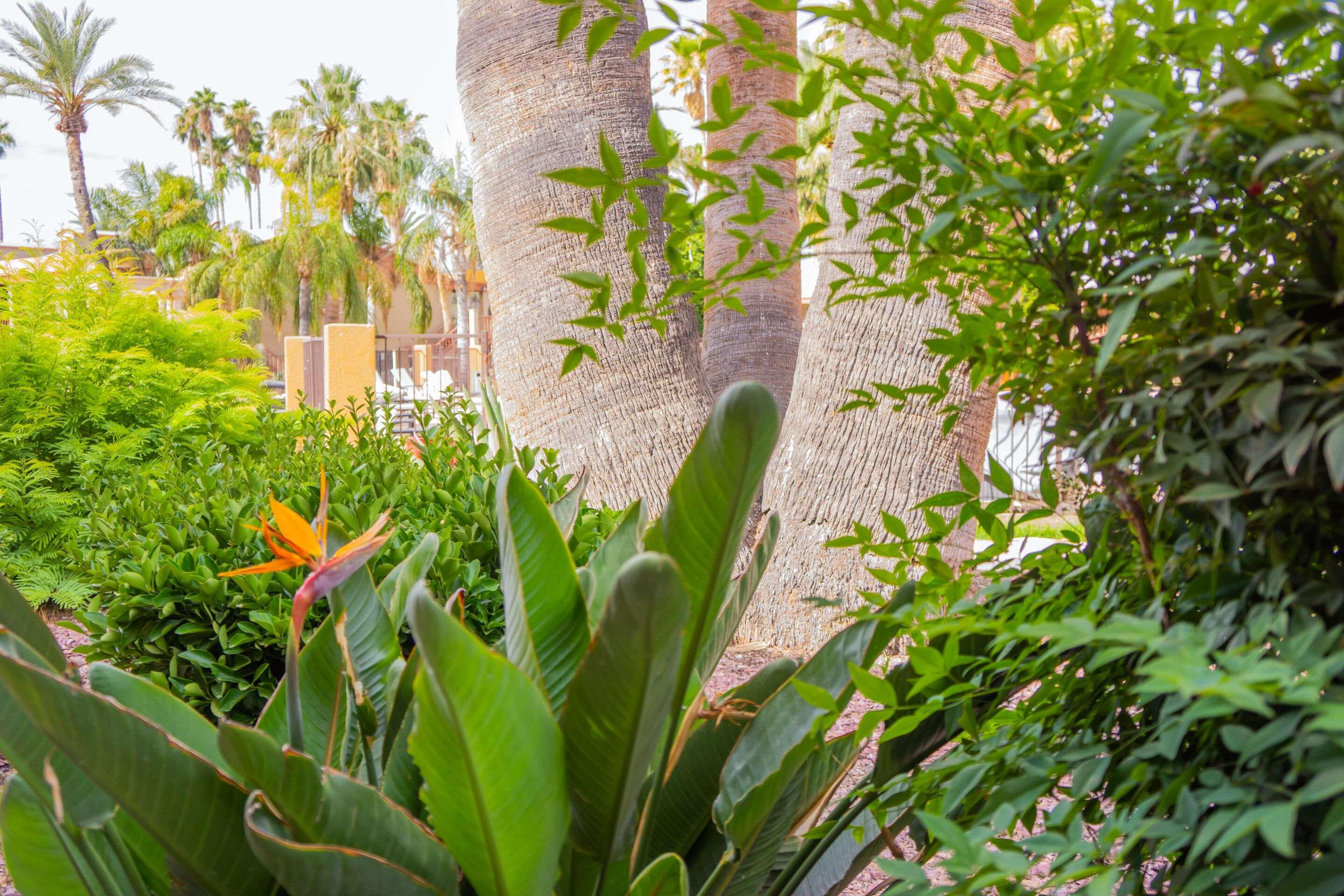 Hotel Tucson City Center, An Ascend Hotel Collection Member Esterno foto